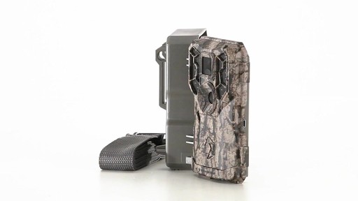 Stealth Cam PX36NGCMO Trail/Game Camera 10MP 360 View - image 9 from the video